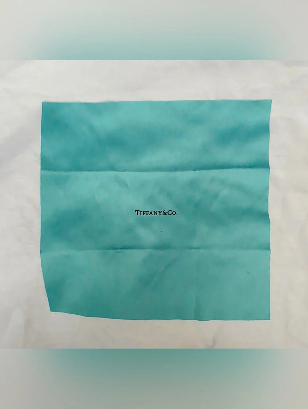 Tiffany & Co. Signature Blue Leather Eyewear Case and Silky Lens Cleaning Cloth